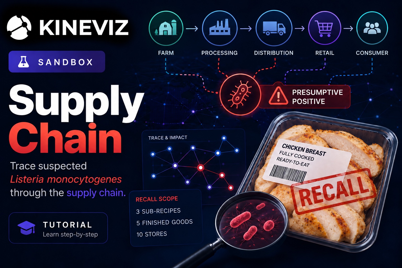 Discover how to make supply chain traceability easier than ever using this Kineviz sandbox example
